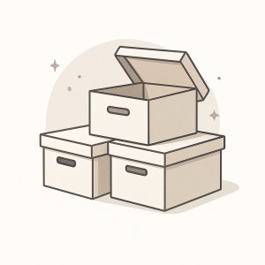 STORAGE CARTONS