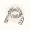 CABLES-PATCH/NETWORK