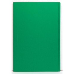 FM FILE FOLDER GREEN 50 PACK FOOLSCAP