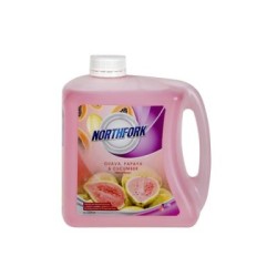 NORTHFORK LIQ H/WASH GUAVA PAPAYA CUCUMBER 2L