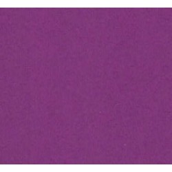 FILE FOLDER MANILLA FOLDER RASPBERRY 50 PACK A4