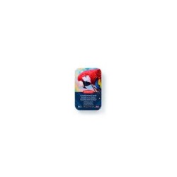 DERWENT CHROMAFLOW PENCILS TIN 36 DERWENT CHROMAFLOW PENCILS TIN 36