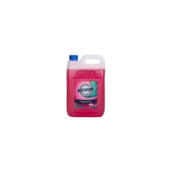 NF 3X5L BORONIA DISINFECTANT NF 3X5L BORONIA DISINFECTANT