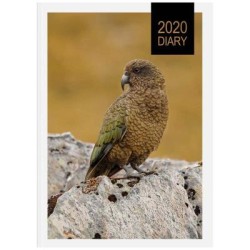 Diaries 2026 Collins A51 Retro NZ DTP Diary Even Year page: 26 , min order: 4 Diaries 2026 Collins A51 Retro NZ DTP Diary Even Year page: 26 , min order: 4