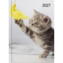 DIARIES 2027 Collins Diary A51 Cats & Dogs Day to Page 2027 page: 24