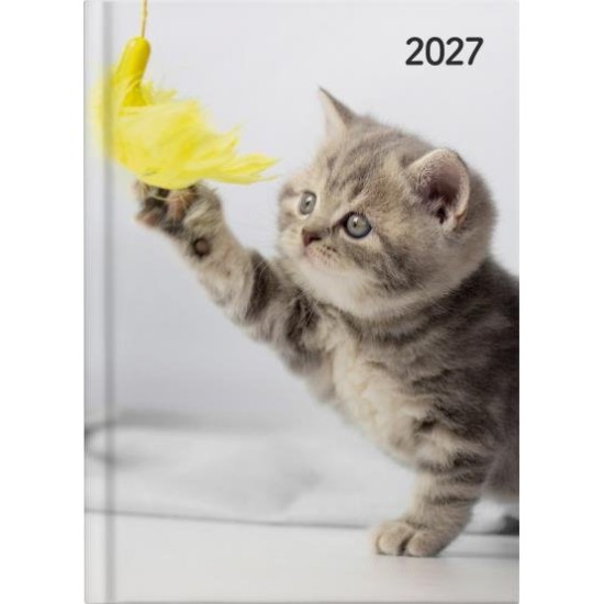 DIARIES 2027 Collins Diary A51 Cats & Dogs Day to Page 2027 page: 24