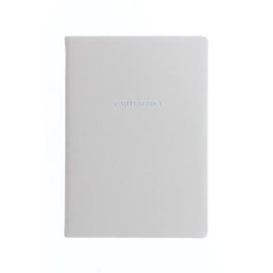 Letts Notebook A5 Ruled Pastel Stone