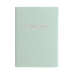 Letts Address Book A6 Pastel Duck Egg
