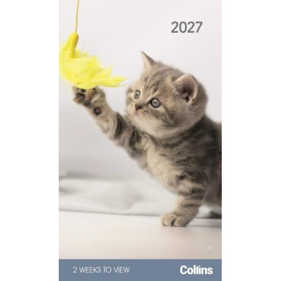 DIARIES 2027 Collins Diary Rosebank Cats & Kittens 2 Weeks to View 2027 page: 45