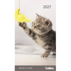 DIARIES 2027 Collins Diary Rosebank Cats & Kittens Month to View 2027 page: 45