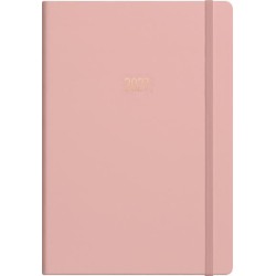DIARIES 2027 Collins Diary A51 Gratitude & Goals 2027  page: 21
