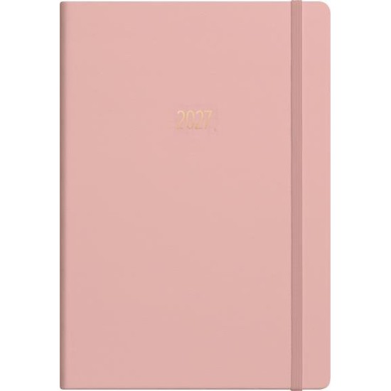 DIARIES 2027 Collins Diary A51 Gratitude & Goals 2027  page: 21
