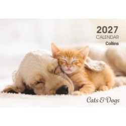 DIARIES 2027 Collins Wall Calendar A4 Cats & Dogs 2027 page: 60