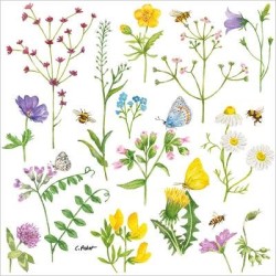 PP NAPKINS CORNFLOWERS C PP NAPKINS CORNFLOWERS C