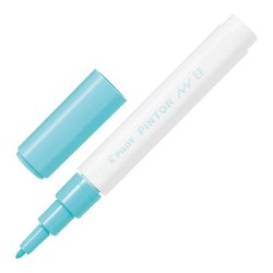 Pilot Pintor Marker Extra Fine Pastel Green (SW-PT-EF-PG) Pilot Pintor Marker Extra Fine Pastel Green (SW-PT-EF-PG)