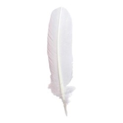 Herbin Goose Quill 28cm White Herbin Goose Quill 28cm White