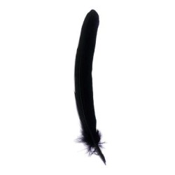 Herbin Goose Quill 28cm Navy Blue Herbin Goose Quill 28cm Navy Blue