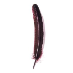 Herbin Goose Quill 28cm Burgundy Herbin Goose Quill 28cm Burgundy