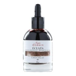 Jacques Herbin Eclats Watercolour Ink 205 Chocolate 50ml Jacques Herbin Eclats Watercolour Ink 205 Chocolate 50ml
