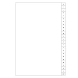 Indices/Dividers white 250 GSM (premium card) 76-100 unpunched