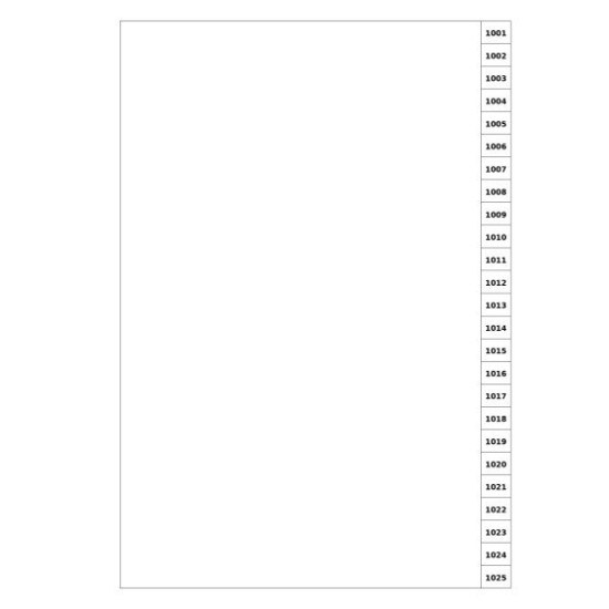 Indices/Dividers white 250 GSM (premium card) 1001-1025 unpunched