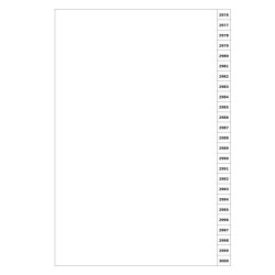 Indices/Dividers white 250 GSM (premium card) 2976-3000 unpunched