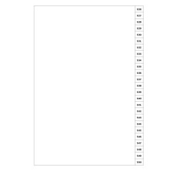 Indices/Dividers white 250 GSM (premium card) 526-550 unpunched