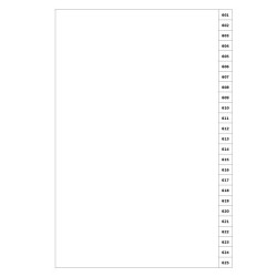 Indices/Dividers white 250 GSM (premium card) 601-625 unpunched