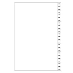 Indices/Dividers white 250 GSM (premium card) 826-850 unpunched