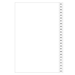 Indices/Dividers white 250 GSM (premium card) 851-875 unpunched