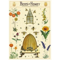 CAVALLINI BEES & HONEY 2 POSTER WRAP