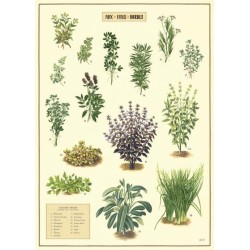 CAVALLINI HERBS POSTER WRAP