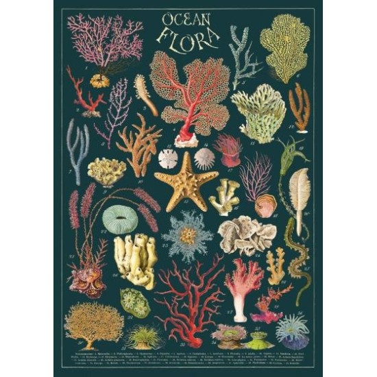 CAVALLINI OCEAN FLORA POSTER WRAP