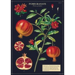 CAVALLINI POMEGRANATE POSTER WRAP