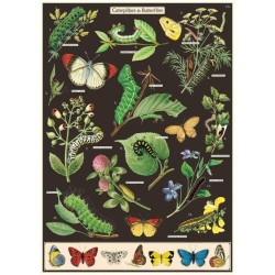CAVALLINI CATERPILLARS & BUTTERFLIES POSTER WRAP