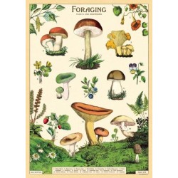 CAVALLINI FORAGING POSTER WRAP
