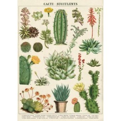 CAVALLINI CACTI & SUCCULENTS POSTER WRAP