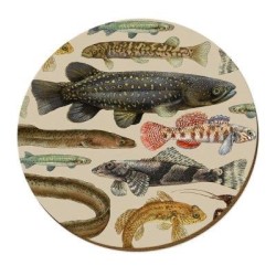 FRESHWATER FISH PLACEMAT FRESHWATER FISH PLACEMAT