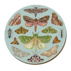 NZ MOTHS PLACEMAT NZ MOTHS PLACEMAT