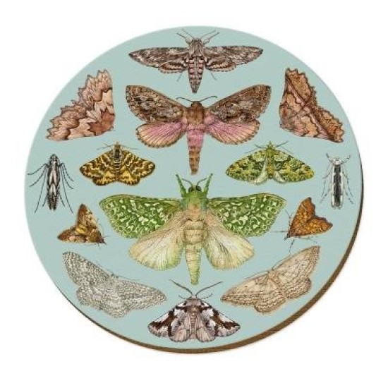 NZ MOTHS PLACEMAT