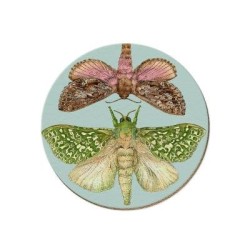 NZ MOTHS COASTER NZ MOTHS COASTER