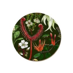 NZ PLANTS COASTER NZ PLANTS COASTER