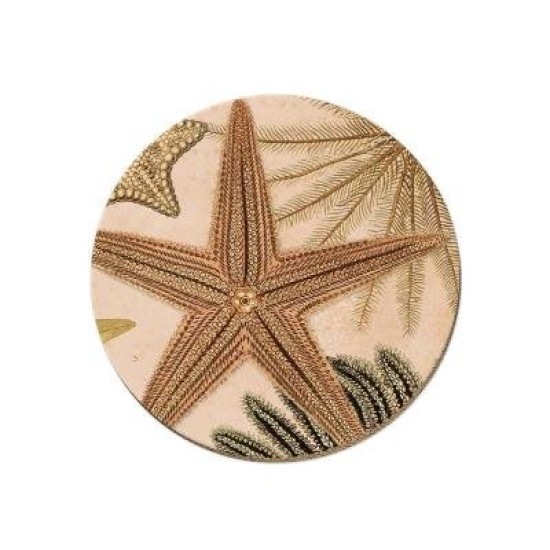 DD   PATANGAROA COASTER