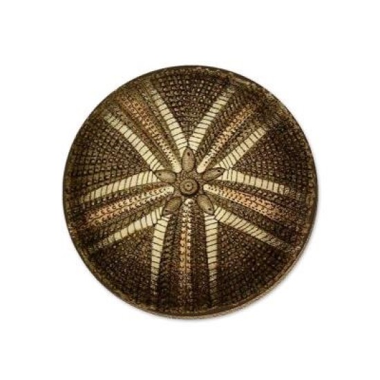 DD   KINA COASTER