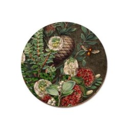 KAURI & RATA COASTER KAURI & RATA COASTER