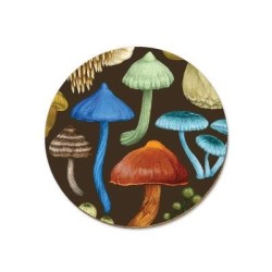 NZ FUNGI ENTOLOMA COASTER NZ FUNGI ENTOLOMA COASTER