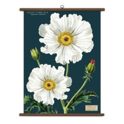 BOTANY VINTAGE SCHOOL CHART