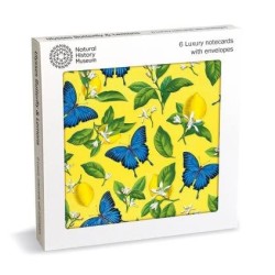 D ULYSSES BUTTERFLY LUX SQ NOTECARD WALLET 6 PKT D ULYSSES BUTTERFLY LUX SQ NOTECARD WALLET 6 PKT