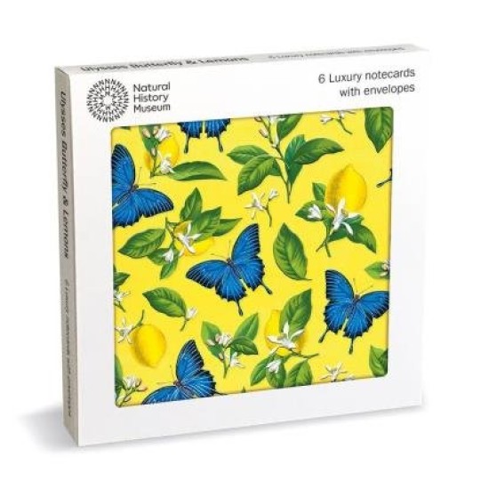 D ULYSSES BUTTERFLY LUX SQ NOTECARD WALLET 6 PKT