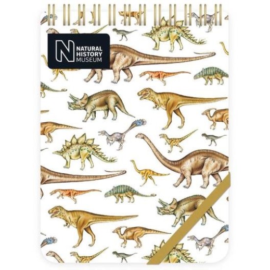 D  Dinosaur Notepad